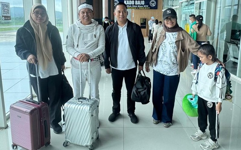 DEDI MULYADI
