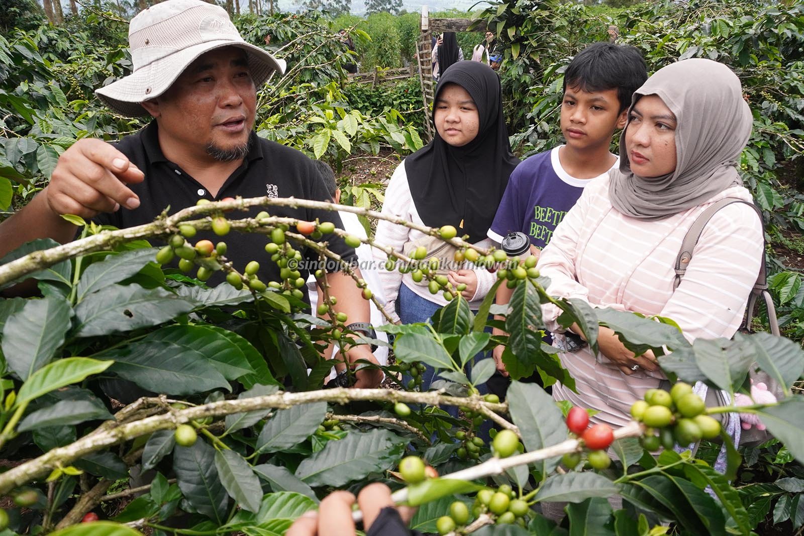 Jamkrindo dukung Bareto Coffee di Pangalengan, Kabupaten Bandung, Jawa Barat, Sabtu (7/2/2026).