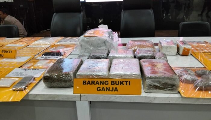 Barang bukti ganja