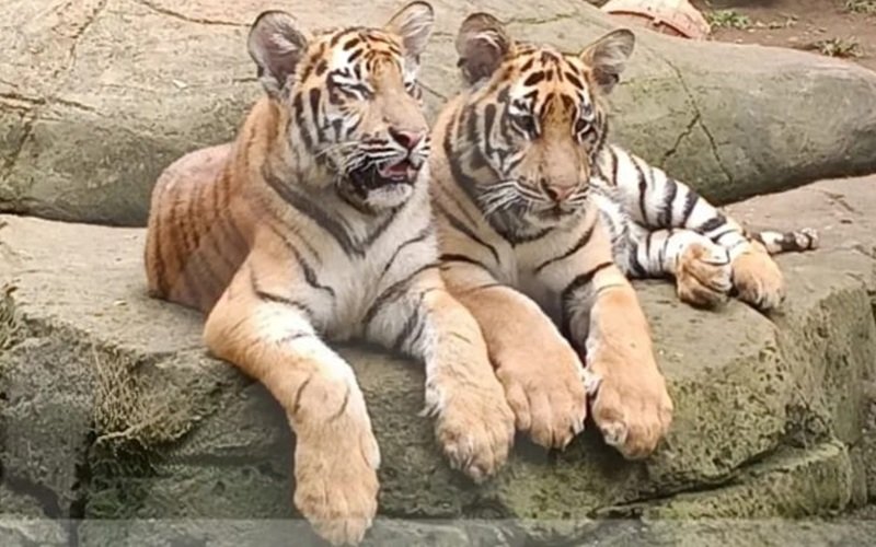 Huru dan Hara