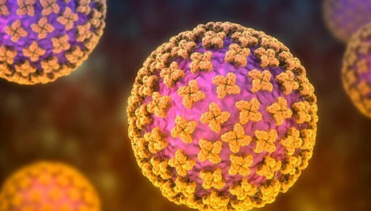 Peneliti BRIN Jelaskan Bahaya Hantavirus dan Cara Pencegahannya