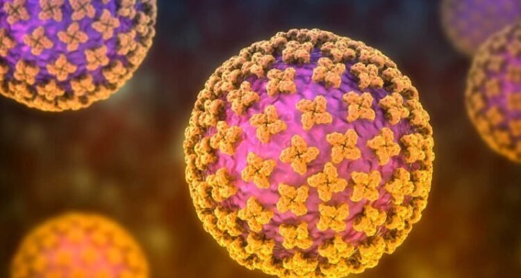 Peneliti BRIN Jelaskan Bahaya Hantavirus dan Cara Pencegahannya