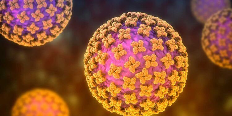 Peneliti BRIN Jelaskan Bahaya Hantavirus dan Cara Pencegahannya