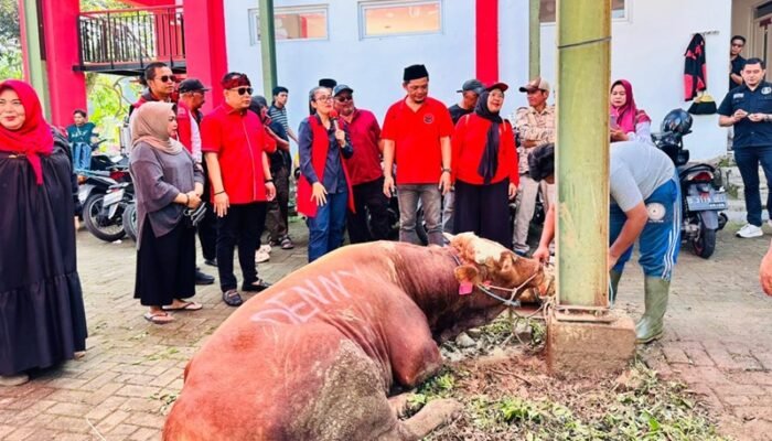 SAPI KURBAN