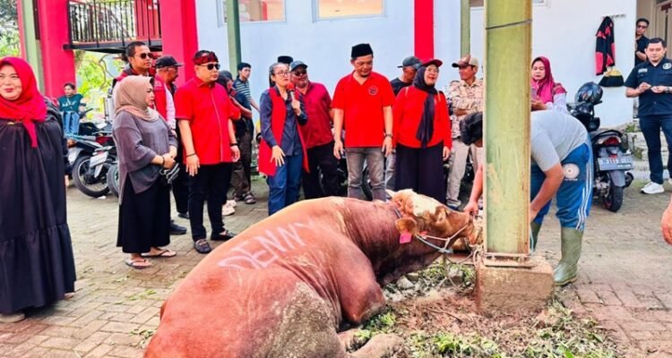 SAPI KURBAN