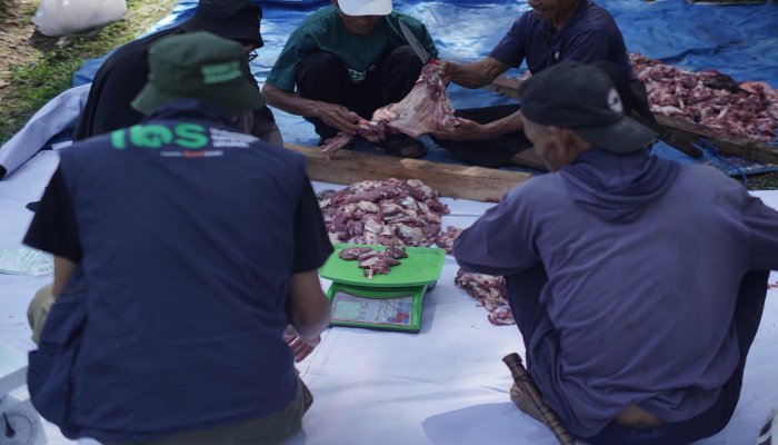 IBS Foundation kembali melaksanakan program Bahagia Berbagi Qurban (BBQ) dengan menjangkau berbagai wilayah prioritas di Indonesia.