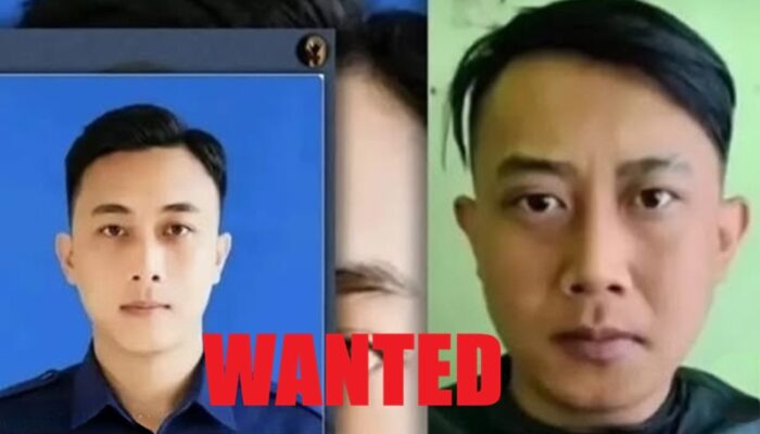 PELAKU TAUFIK