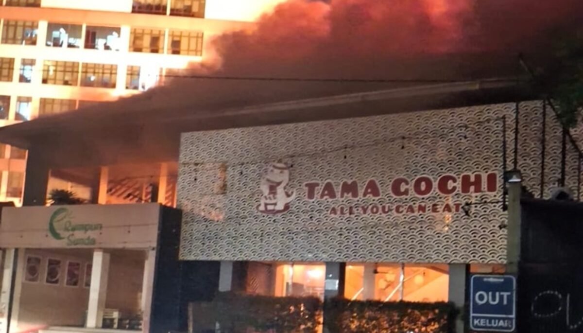 TAMA GOCI