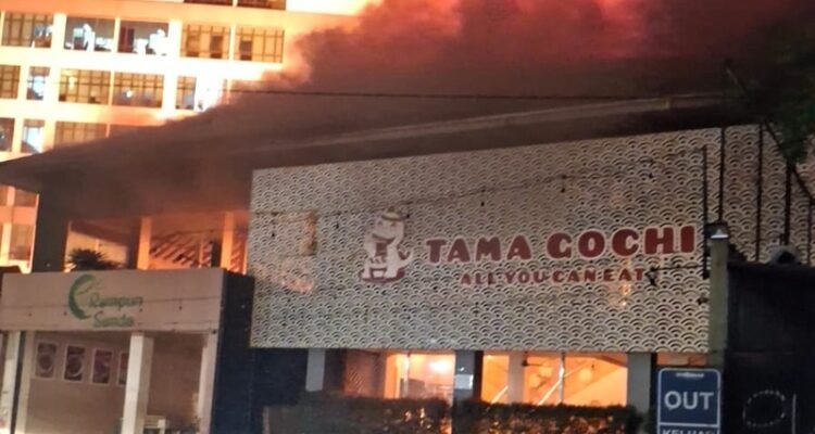 TAMA GOCI