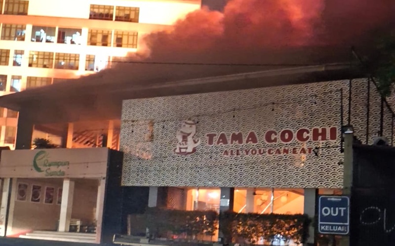TAMA GOCI