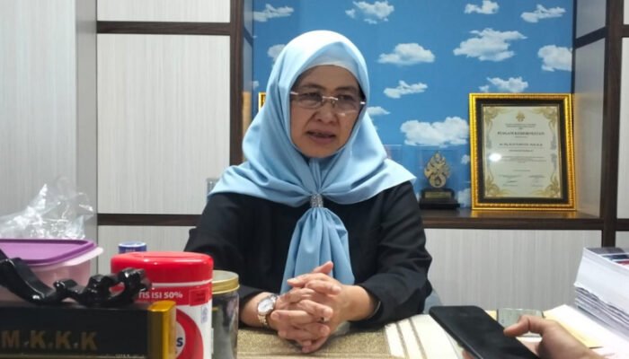 Ratnawati Sebut Gerakan Langit Biru Jadi Aksi Nyata Demokrat Peduli Lingkungan