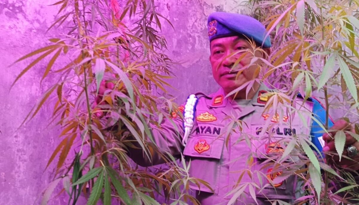 GANJA