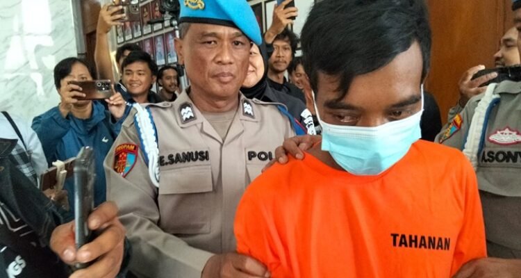 TIKUS KABEL