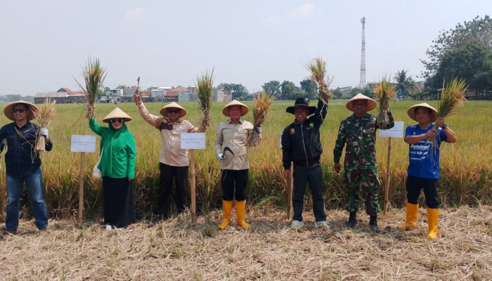 Keterbatasan alat dan mesin pertanian (alsintan) serta perlindungan lahan sawah produktif menjadi persoalan yang masih dihadapi petani.