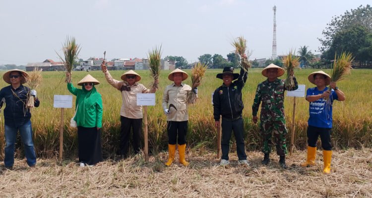 Keterbatasan alat dan mesin pertanian (alsintan) serta perlindungan lahan sawah produktif menjadi persoalan yang masih dihadapi petani.