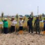 Keterbatasan alat dan mesin pertanian (alsintan) serta perlindungan lahan sawah produktif menjadi persoalan yang masih dihadapi petani.